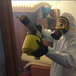 Уничтожение клопов в квартире. Сергач